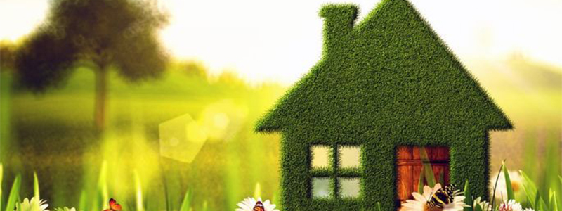 Home with flowers wide